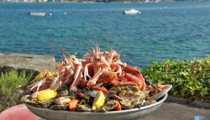 restaurant dégustation saint guillaume fruit de mer vue sur mer